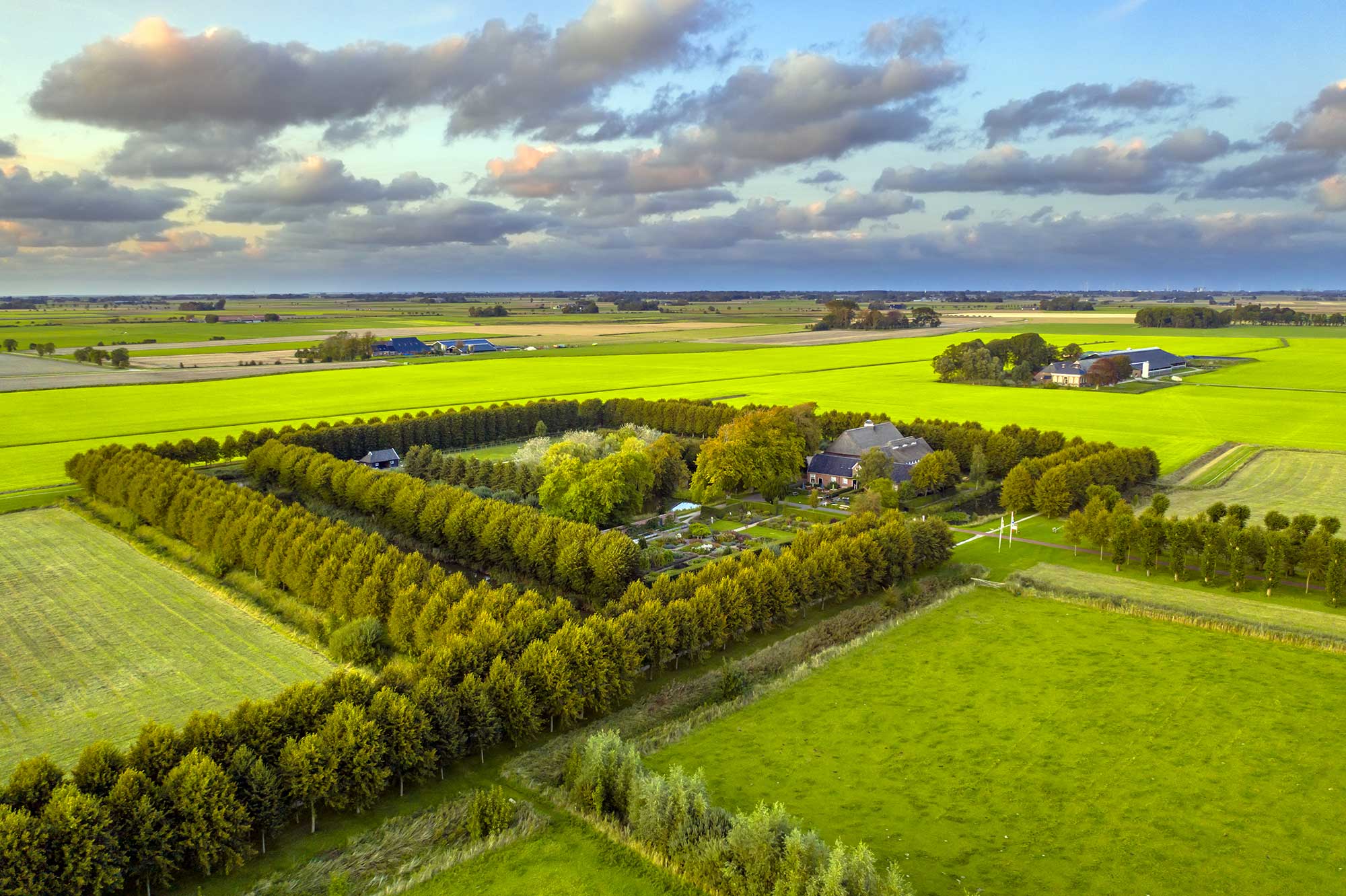 Agrarian Estate-Draft-Not For Sale
