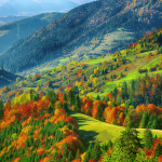 Selling Your Land for Cash to Toro Land & Ranch Company: A Complete Guide
