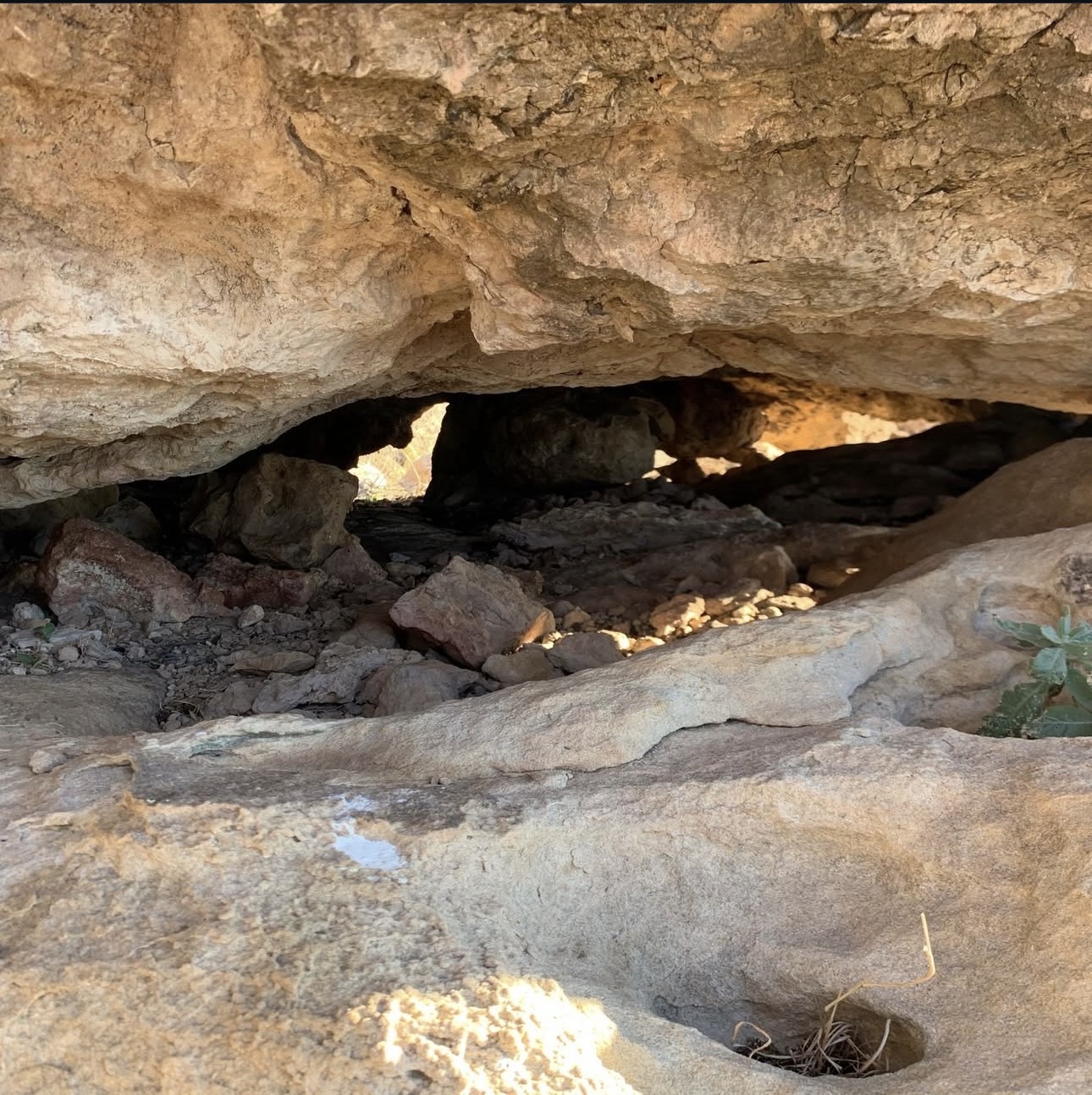 Property ID # 69528 (40 acres) & Property ID # 70303 (20 acres), Hudspeth County, Texas