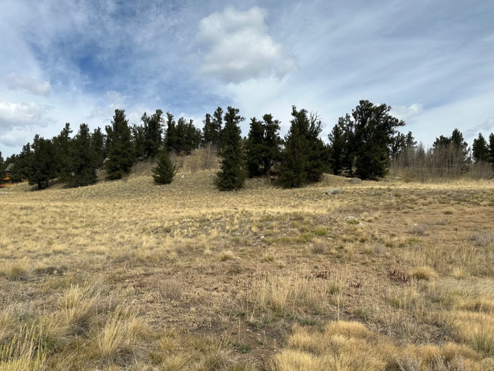 491 Abandoned Rail Rd, Fairplay, Colorado, 80440