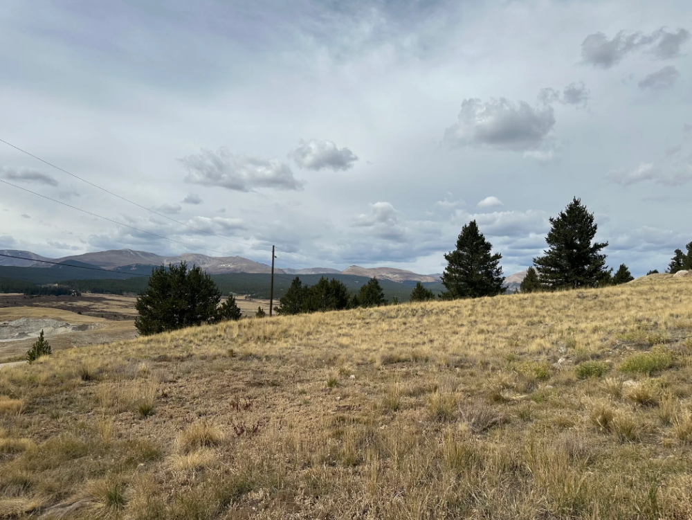 491 Abandoned Rail Rd, Fairplay, Colorado, 80440