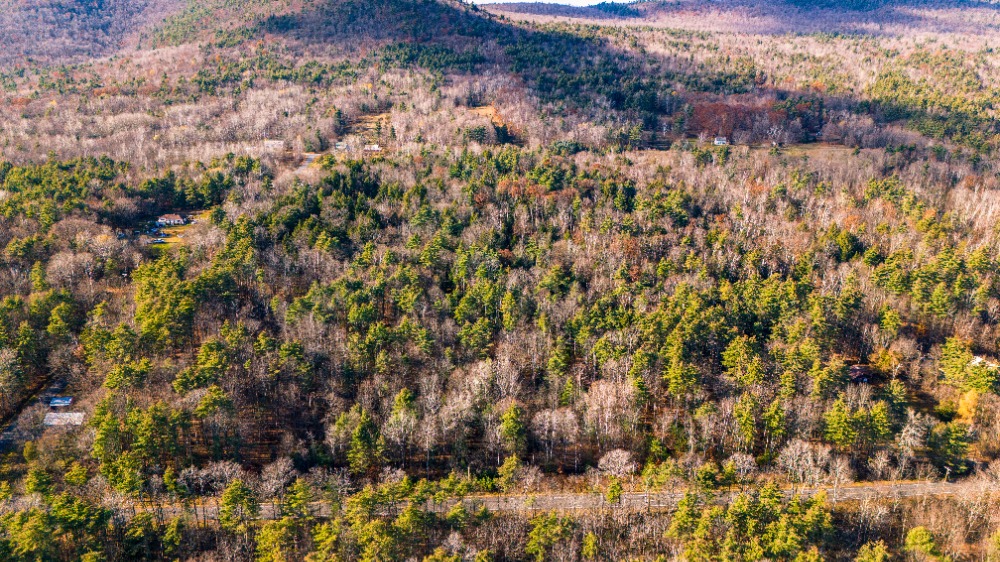 New Hague Rd, Hague, New York