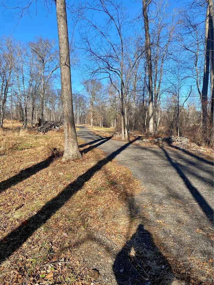 Kingwood Township, Frenchtown NJ