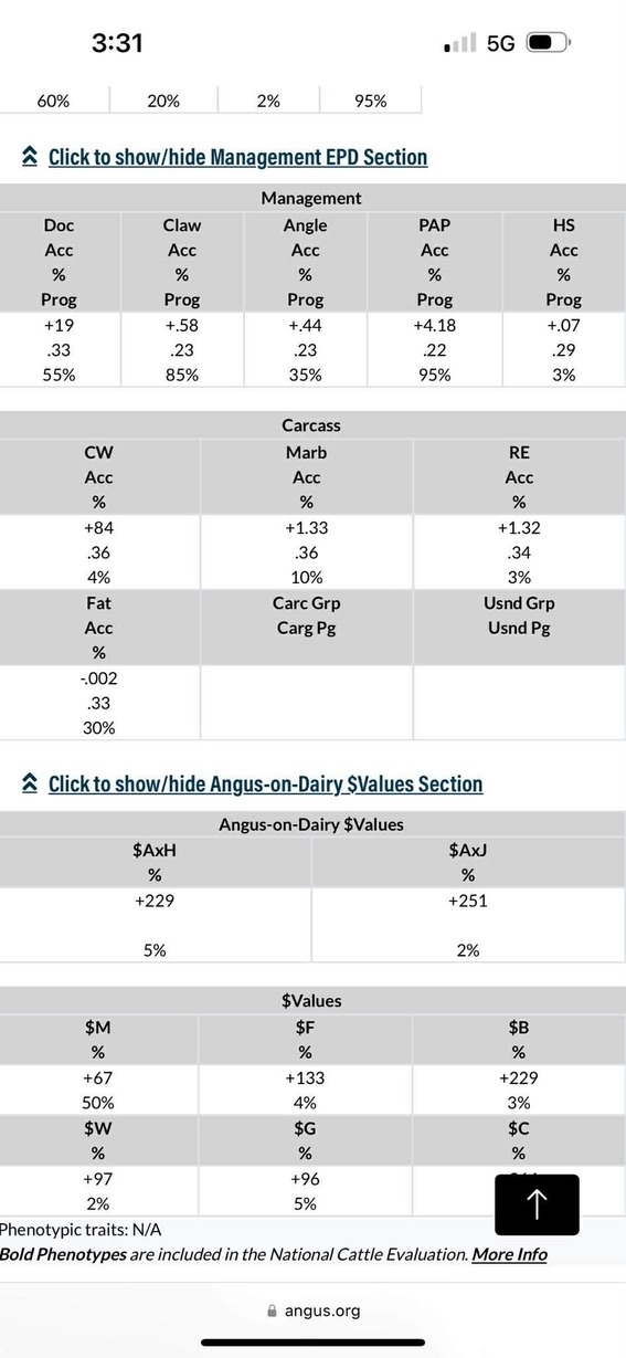 Black Angus Bull – New Berlin, New York