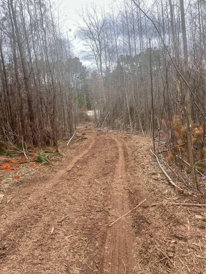 Jefferson Highway, Louisa Virginia